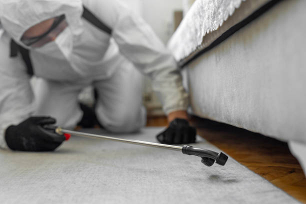 Professional Termite Control technician working in Blair, NE