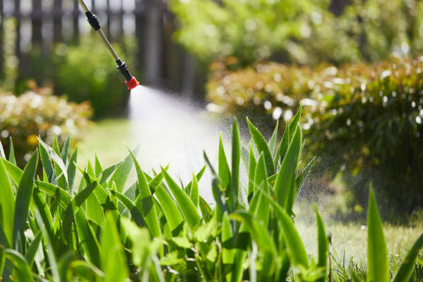 24/7 Emergency Termite Control experts in Blair, NE